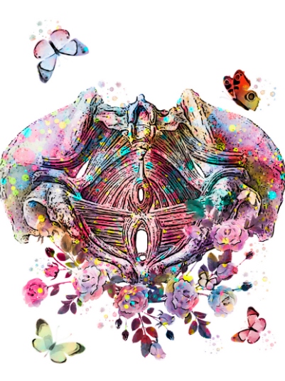 Colorful image of pelvis